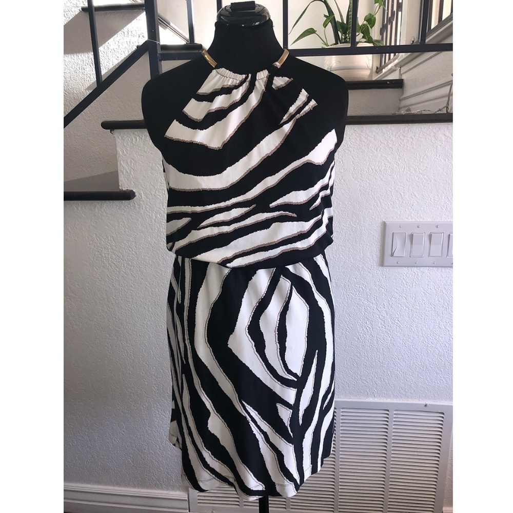 Zebra Dress